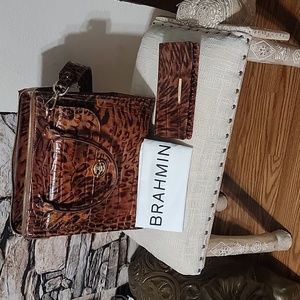 Large Caroline leopard